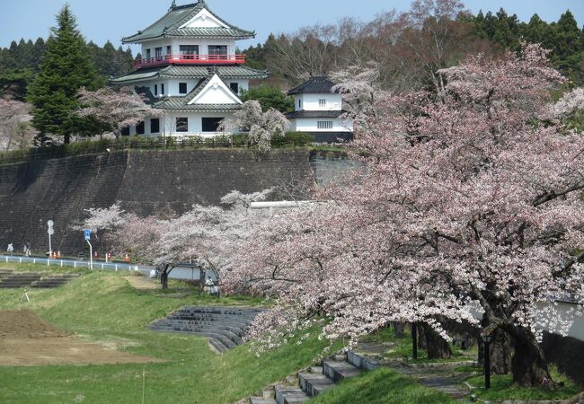 今回は桜の季節に行けてよかった！