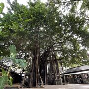 台中文学館