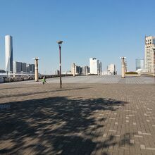 広大な風景です。