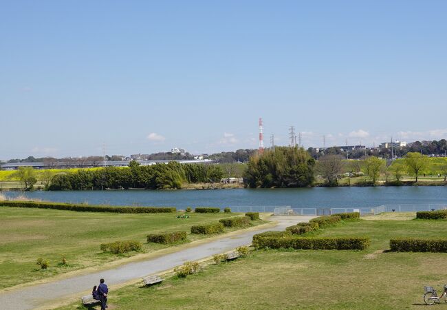 新緑と菜の花のコラボレーションが最高でした