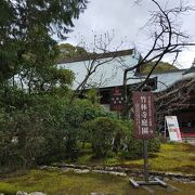 牧野植物園近く