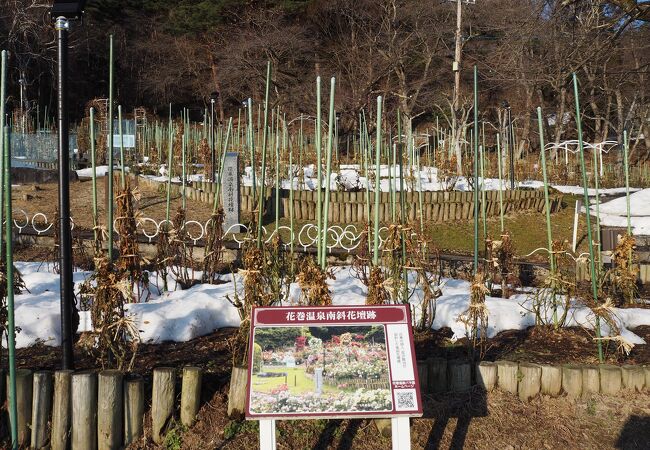 花巻温泉バラ園