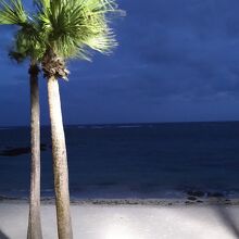 席から見える海