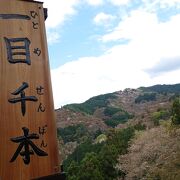 里より早い葉桜の今年の吉野山