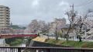 「昭和の花咲か爺さん」の桜並木