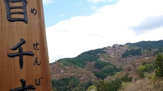 里より早い葉桜の今年の吉野山