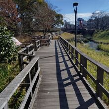 公園の様子