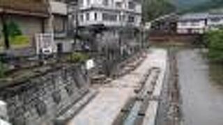 まだ山菜は早い時期ですが