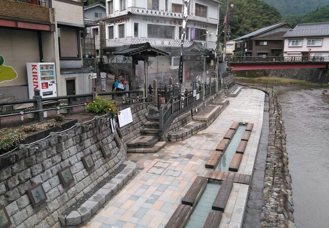 まだ山菜は早い時期ですが