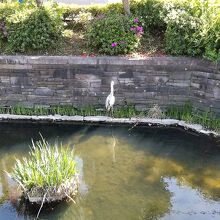 見沼代親水公園