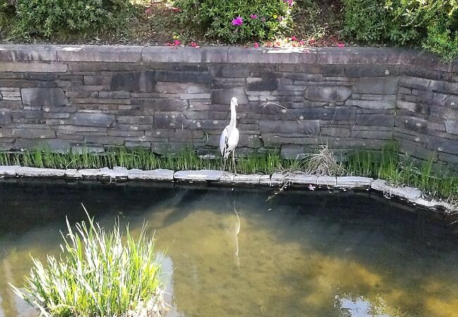 見沼代親水公園