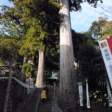 日枝神社(鳥居奥の階段)