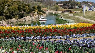 海が見える、桜とチューリップの共演が美しい　春にオススメの公園