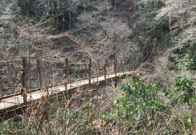 高尾山登山(14)で四号路を下りみやま橋を渡りました