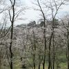 滝山公園・滝山城跡