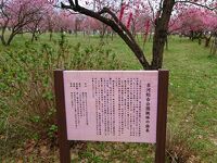 古河公方公園(古河総合公園)