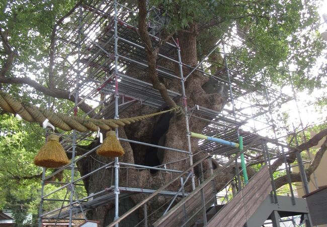 神社の中にあります