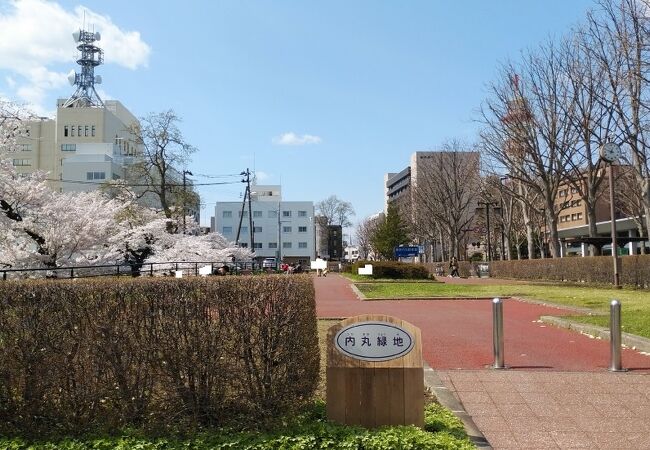 官庁街の近くにある公園