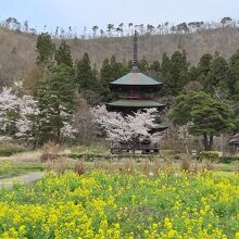 安久津八幡神社　三重塔