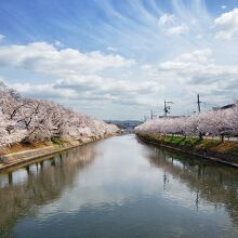 前川橋からの景観