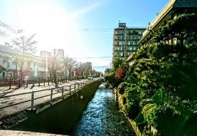 さくら温泉通り