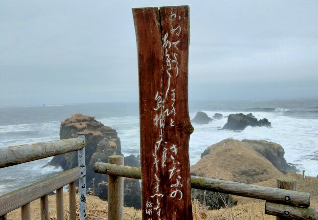 太平洋に突き出した断崖絶壁の霧多布岬は名前の通り霧に覆われた岬でした。