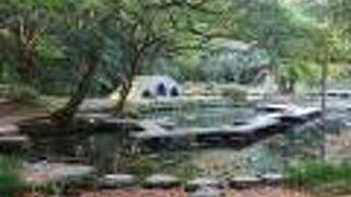 寂しげな感じがいい！