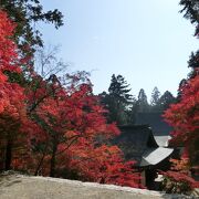 高雄の紅葉のメッカ