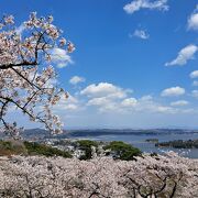 松島の風景が見える公園