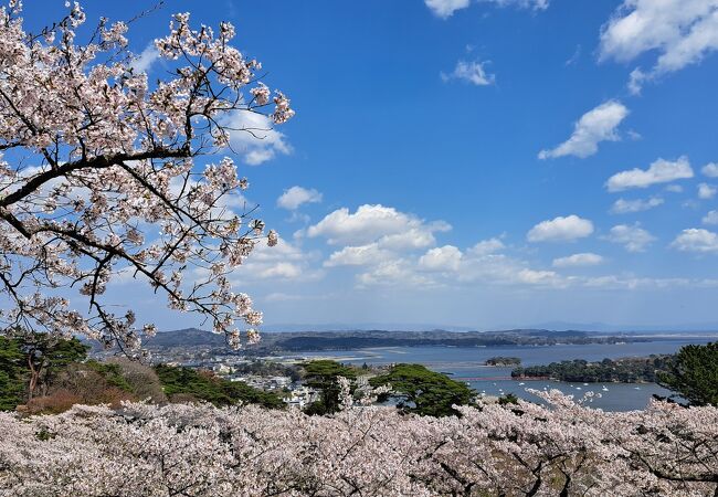 松島の風景が見える公園
