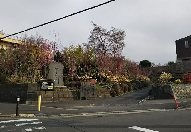 常泉寺