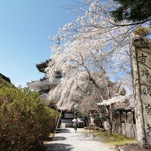 吉野朝宮跡