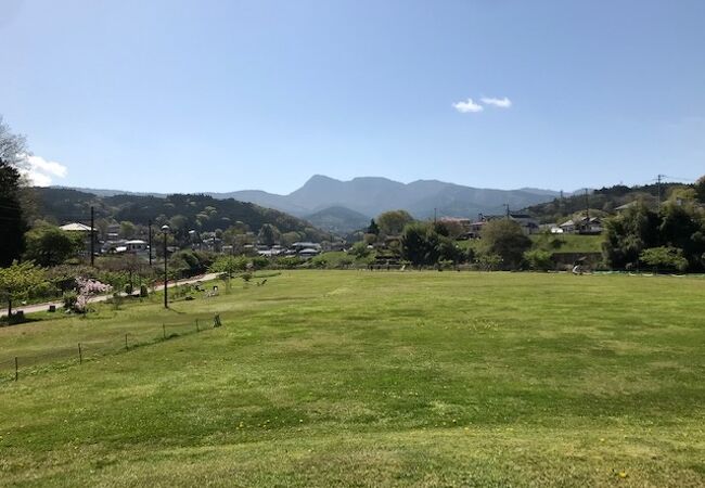 あしがらふれあい公園