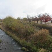 嵐山公園が起点です