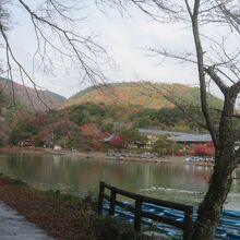 ここがビューポイントです