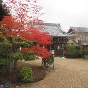 大覚寺の南側です