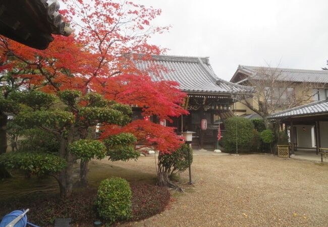 大覚寺の南側です
