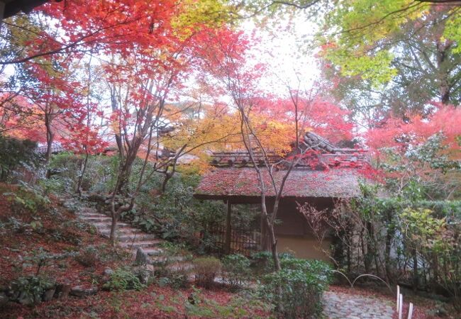 紅葉の名所です