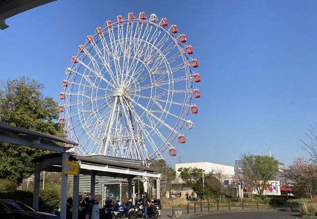 刈谷ハイウェイオアシス おみやげコーナー クチコミ・アクセス