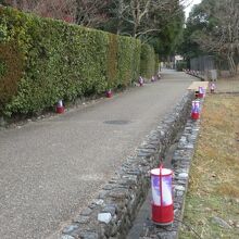 京都 嵐山花灯路