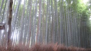 天竜寺の近くにあります