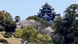 ゆっくり見たかった...