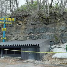 石炭の大露頭