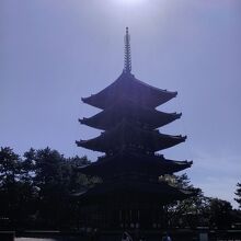 五重塔建物全景と奈良公園の鹿と快晴の太陽