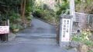 潮風はとても心地よく、のんびりとした時間を過ごすことができました