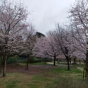 桜が咲いている季節に行ってみました