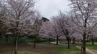 高野山桃山公園