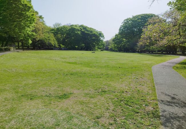 砧公園