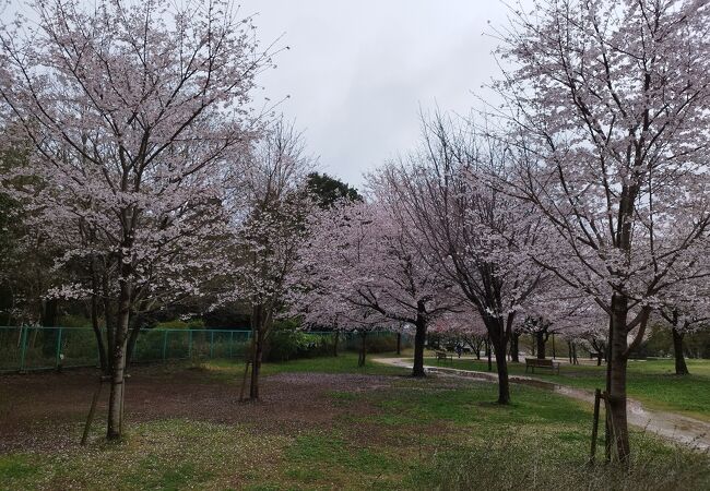 高野山桃山公園