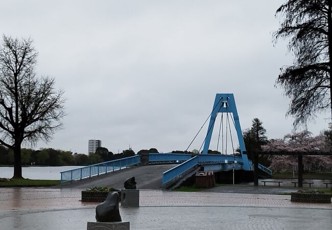 水元公園の中にある歩行者のための橋です